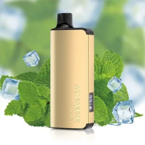 ALIBARBAR INGOT COOL MINT-9000 puffs