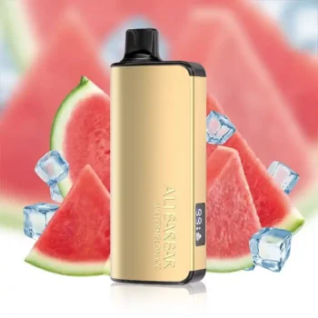 Alibarbar ingot WATERMELON ICE-9000 puffs