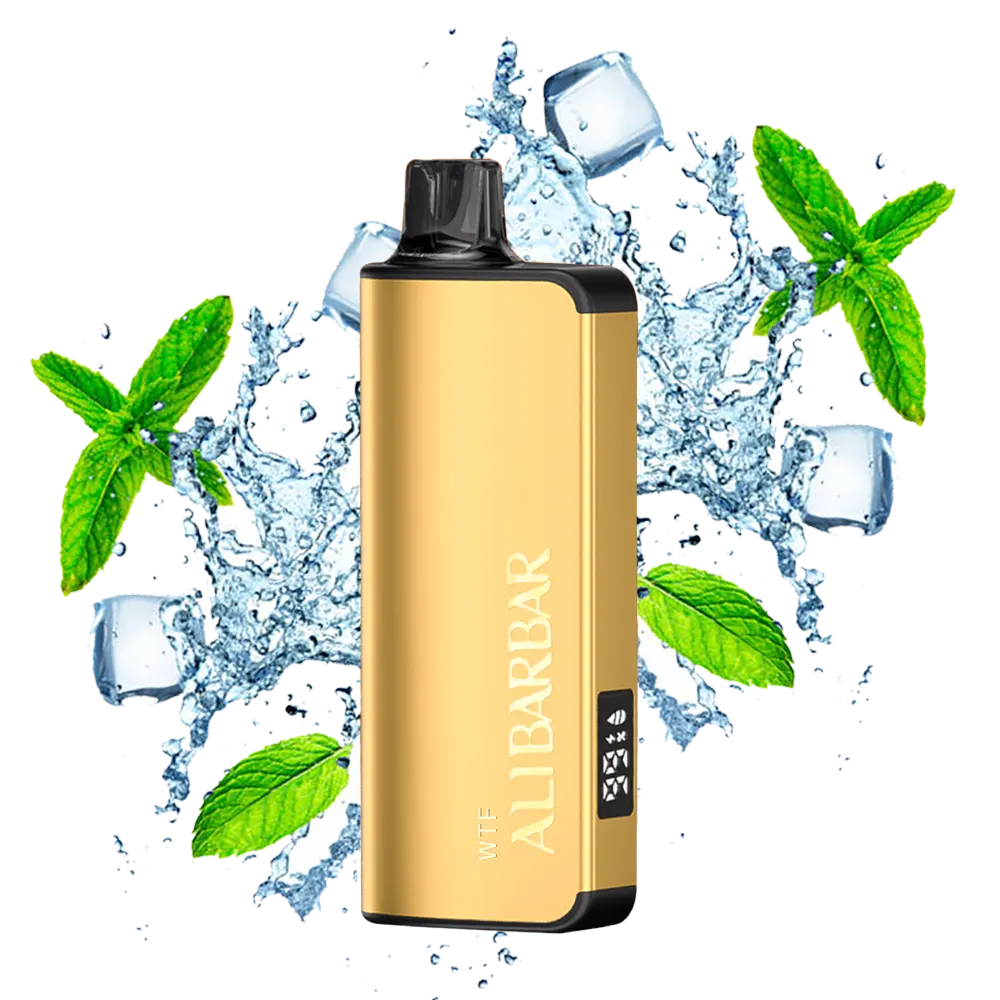 Alibarbar Ingot Miami Mint – 9000 puffs
